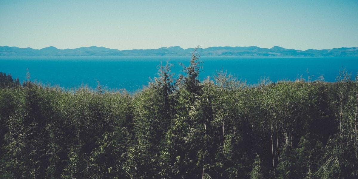 How to Build a Capsule Wardrobe That Actually Works?