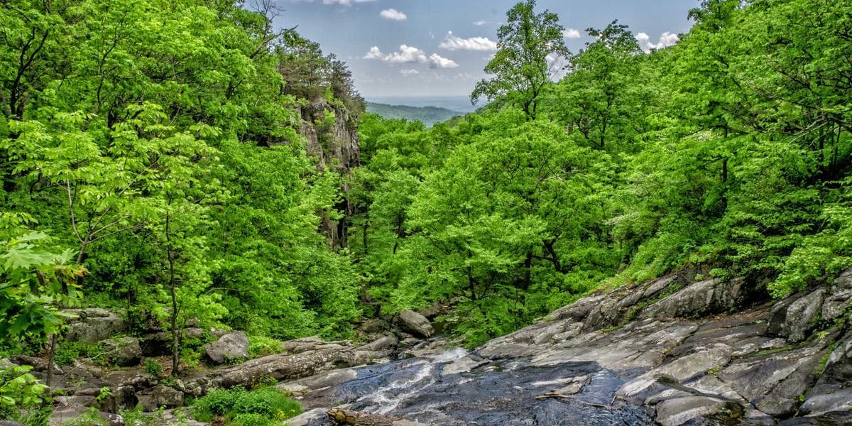 Are TouchTunes Promo Codes Legit? How to Spot Real Deals Online?