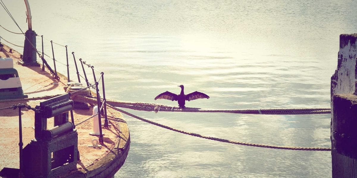 TouchTunes Coupon Codes, Deals & Discounts (Complete Savings Guide 2026)